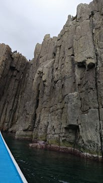 東尋坊観光遊覧船株式会社に投稿された画像（2025/10/25）