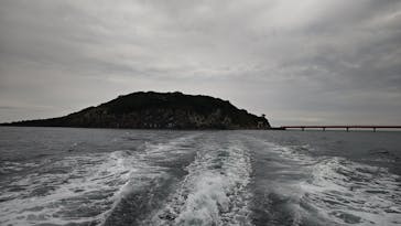 東尋坊観光遊覧船株式会社に投稿された画像（2025/10/25）