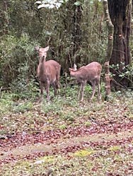 箱根芦ノ湖セグウェイツアーに投稿された画像（2025/10/25）