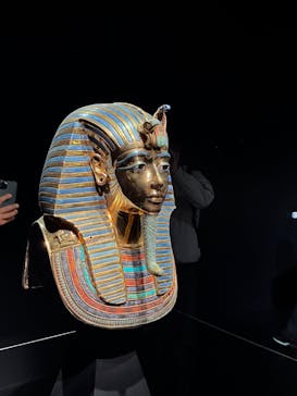 MYSTERY OF TUTANKHAMEN 体感型古代エジプト展に投稿された画像（2025/10/25）