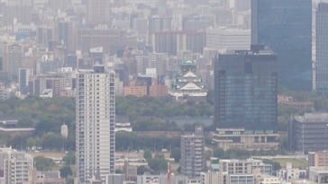 ハルカス300(展望台)に投稿された画像（2025/10/25）