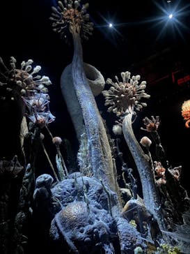 金曜ロードショーとジブリ展（静岡展）に投稿された画像（2025/10/25）