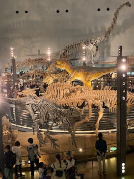 福井県立恐竜博物館に投稿された画像（2025/10/25）