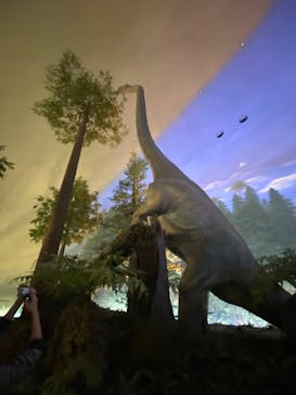 福井県立恐竜博物館に投稿された画像（2025/10/25）