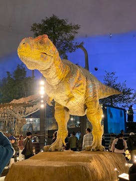 福井県立恐竜博物館に投稿された画像（2025/10/25）