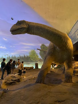 福井県立恐竜博物館に投稿された画像（2025/10/25）