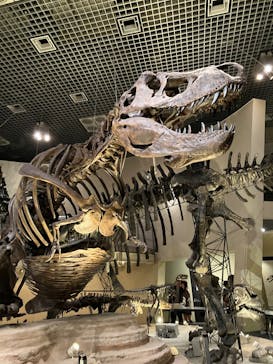 国立科学博物館に投稿された画像（2025/10/25）