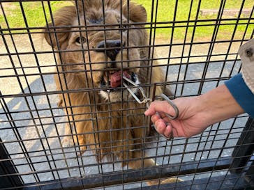 那須サファリパークに投稿された画像（2025/10/25）