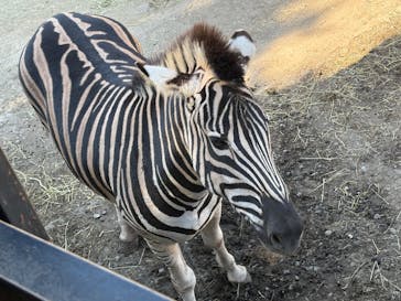 那須サファリパークに投稿された画像（2025/10/25）