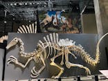 福井県立恐竜博物館に投稿された画像（2025/10/26）