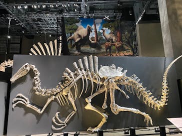 福井県立恐竜博物館に投稿された画像（2025/10/25）