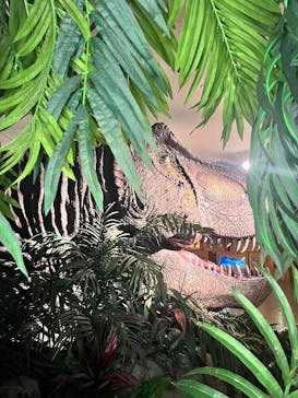 海洋堂ホビーランドに投稿された画像（2025/10/25）