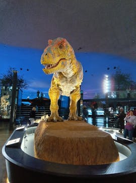 福井県立恐竜博物館に投稿された画像（2025/10/26）