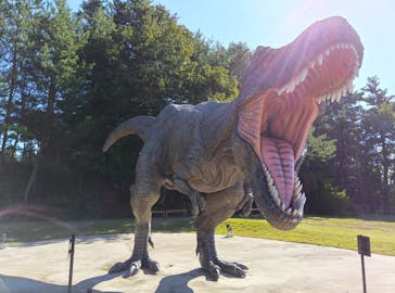 福井県立恐竜博物館に投稿された画像（2025/10/26）