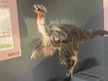 福井県立恐竜博物館に投稿された画像（2025/10/26）