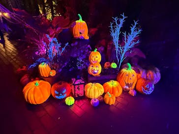 横浜イングリッシュガーデンに投稿された画像（2025/10/26）