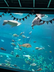 箱根園水族館に投稿された画像（2025/10/26）