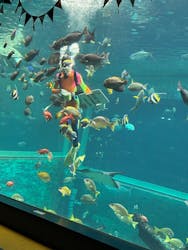 箱根園水族館に投稿された画像（2025/10/26）
