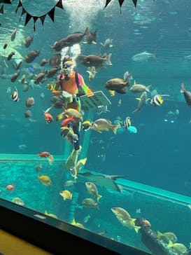 箱根園水族館に投稿された画像（2025/10/26）