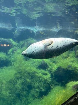 箱根園水族館に投稿された画像（2025/10/26）