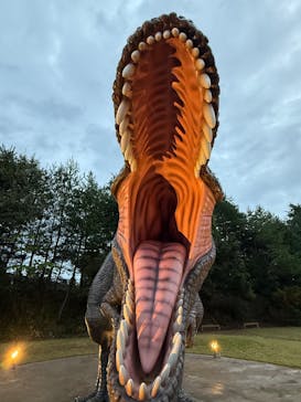 福井県立恐竜博物館に投稿された画像（2025/10/26）