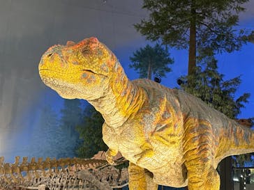 福井県立恐竜博物館に投稿された画像（2025/10/26）