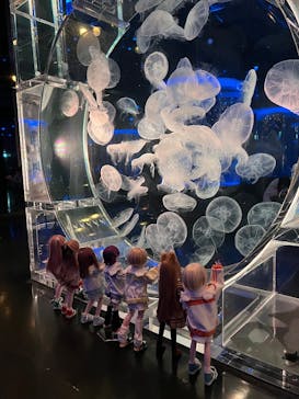 マクセル アクアパーク品川に投稿された画像（2025/10/26）