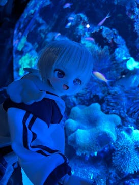 マクセル アクアパーク品川に投稿された画像（2025/10/26）