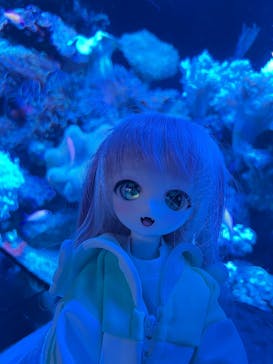 マクセル アクアパーク品川に投稿された画像（2025/10/26）