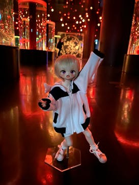 マクセル アクアパーク品川に投稿された画像（2025/10/26）