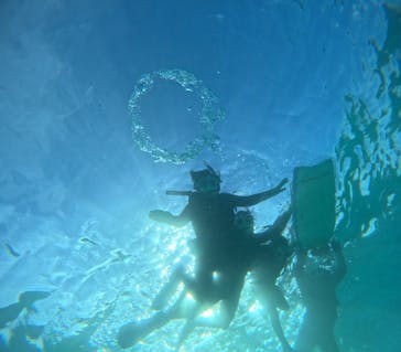 青の洞窟専門店　沖縄ダイビングショップ和に投稿された画像（2025/10/26）