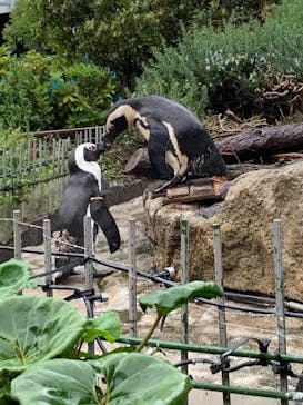 サンシャイン水族館に投稿された画像（2025/10/26）