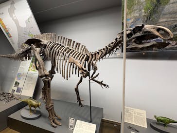 福井県立恐竜博物館に投稿された画像（2025/10/26）