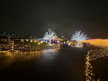 東京メガイルミに投稿された画像（2025/10/26）