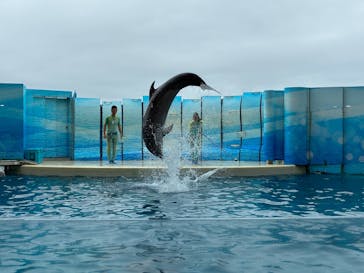 新江ノ島水族館に投稿された画像（2025/10/26）