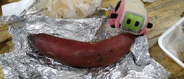 成田ゆめ牧場に投稿された画像（2025/10/26）