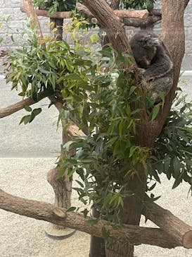 淡路ファームパーク イングランドの丘に投稿された画像（2025/10/26）