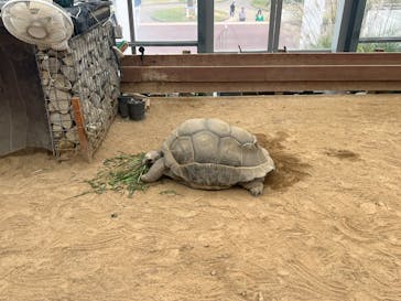 淡路ファームパーク イングランドの丘に投稿された画像（2025/10/26）
