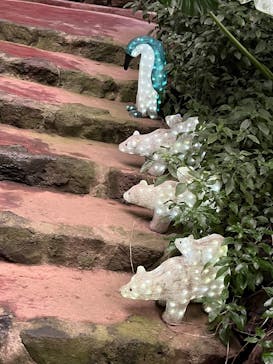 ゼロ距離水族館 伊勢シーパラダイスに投稿された画像（2025/10/26）