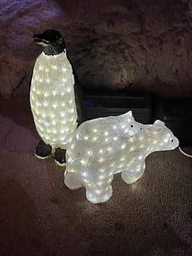 ゼロ距離水族館 伊勢シーパラダイスに投稿された画像（2025/10/26）