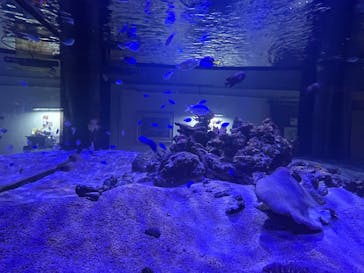 ゼロ距離水族館 伊勢シーパラダイスに投稿された画像（2025/10/26）