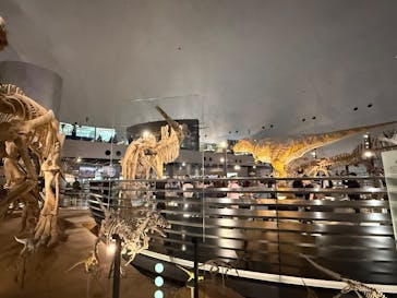 福井県立恐竜博物館に投稿された画像（2025/10/26）
