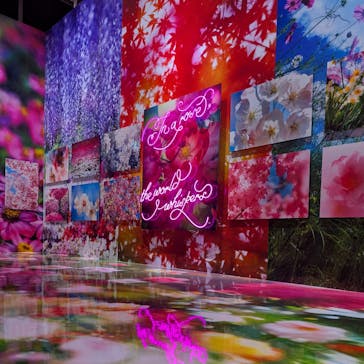 ぎふワールド・ローズガーデンに投稿された画像（2025/10/26）