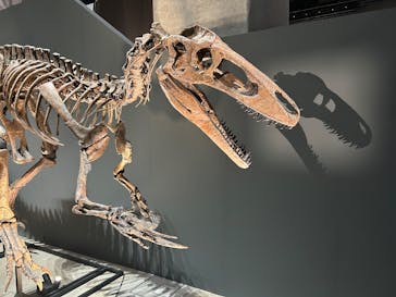 福井県立恐竜博物館に投稿された画像（2025/10/26）