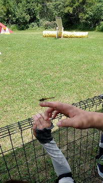 東北サファリパークに投稿された画像（2025/10/26）