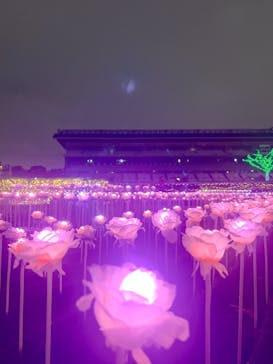 東京メガイルミに投稿された画像（2025/10/26）