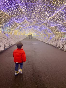 東京メガイルミに投稿された画像（2025/10/26）