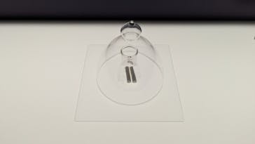 正倉院 THE SHOW ―感じる。いま、ここにある奇跡―　@上野の森美術館に投稿された画像（2025/10/26）