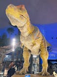 福井県立恐竜博物館に投稿された画像（2025/10/26）
