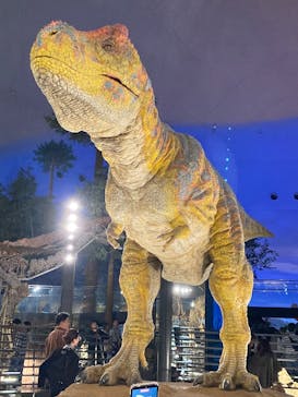 福井県立恐竜博物館に投稿された画像（2025/10/26）